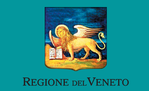 Ordinanza della Regione Veneto  n. 159 del 27 novembre 2020